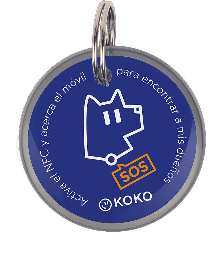 Koko Pets Offer