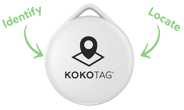 Funciones kokotag