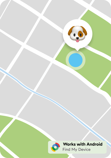 Localizacion mascota