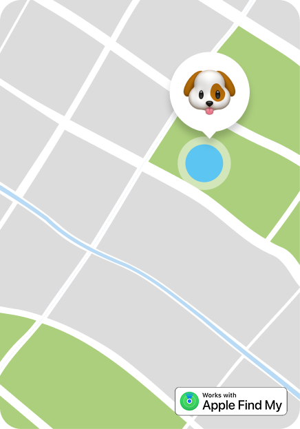 Localizacion mascota