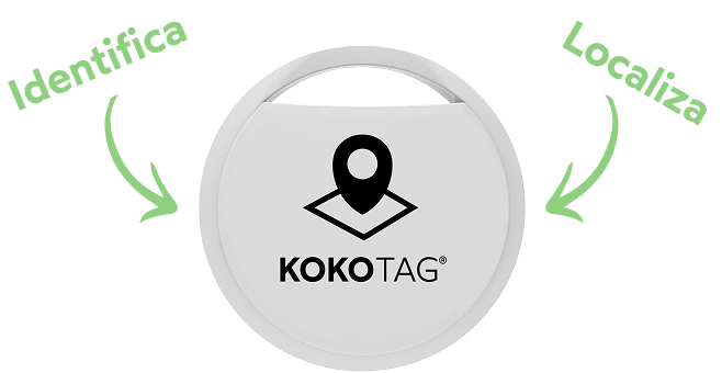 Funciones kokotag
