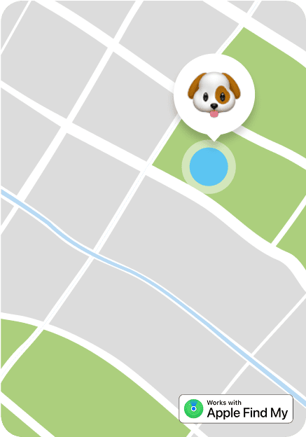Localizacion mascota