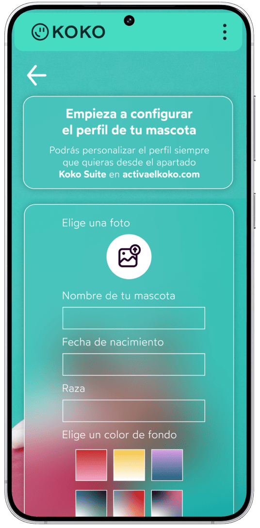 Funciones kokotag