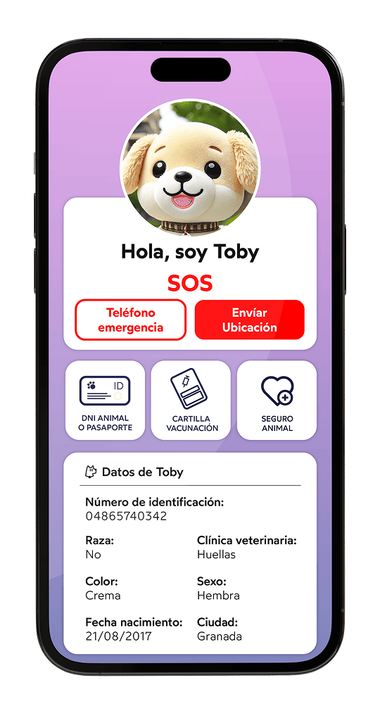 Funciones kokotag